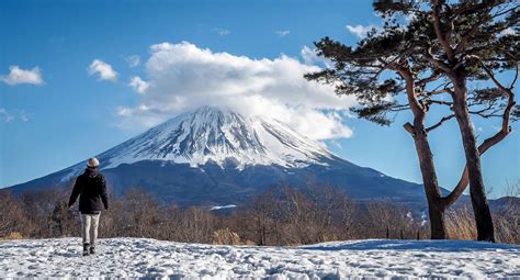 Five Awesome Mount Fuji Day Trip Itinerary Ideas - Nickkembel Travels