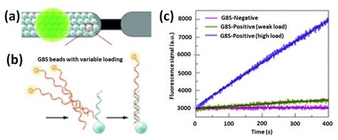 Current Advances in Nanotechnology for the Next Generation of ...