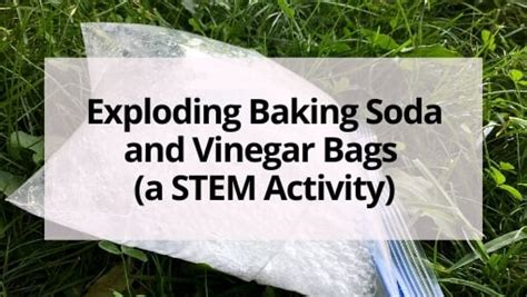 Image result for Exploding Bags with Vinegar