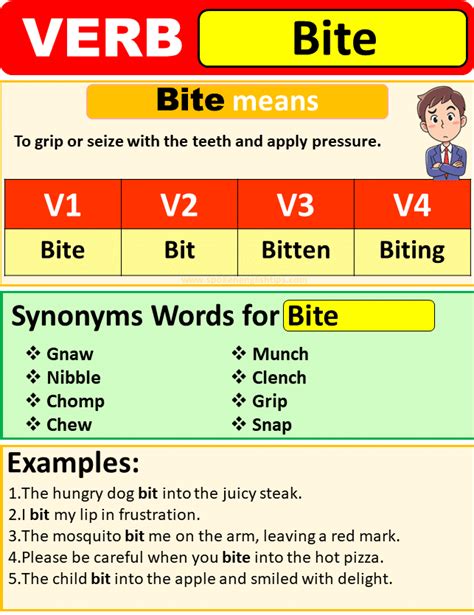 Bite Verb Forms Past Tense of Bite & Past Participle Spoken English