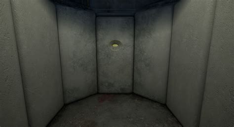 Padded Cell Mental Hospital