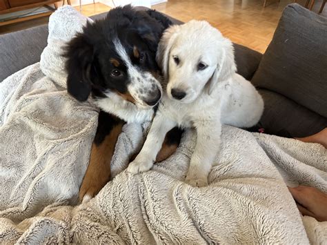 Meet Tiffany Kelly-Gray - Byrd Barr Place