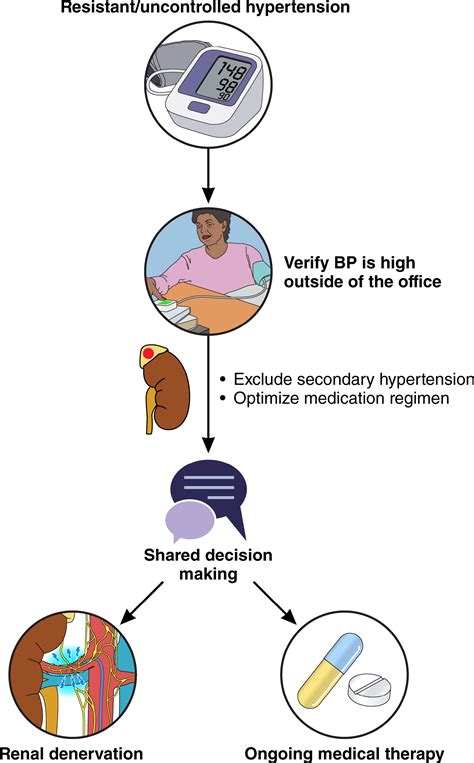 Renal Denervation for the Treatment of Hypertension: A Scientific Statement From the American ...