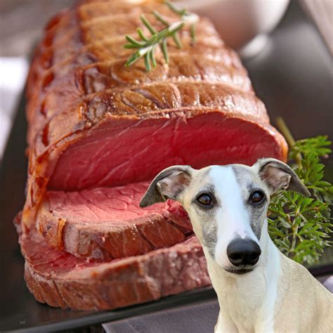 Can Dogs Eat Cooked Beef