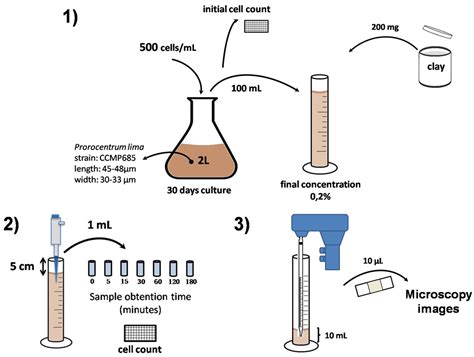 Study of Adsorption and Flocculation Properties of Natural Clays to ...