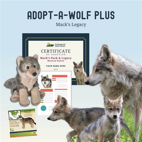 Mack's Pack Adoption | Endangered Wolf Center