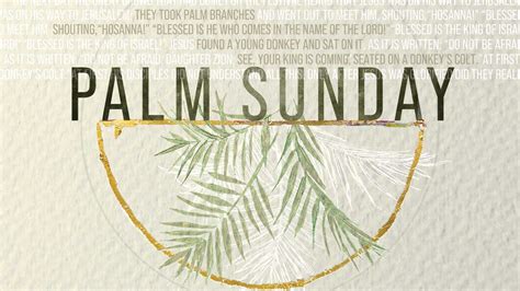 The Arrival of the King! - Stonebriar Community Church