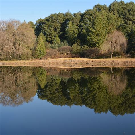 RAINBOW LODGE (Belfast) - Ranch Reviews, Photos, Rate Comparison ...