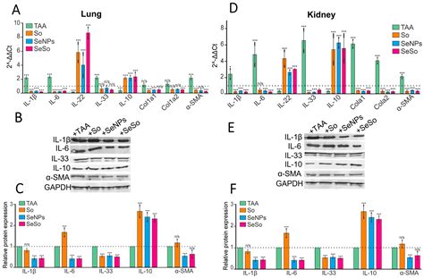 Therapeutic Effect of Selenium Nanoparticles, Sorafenib, and Selenium ...