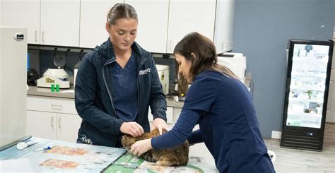 Home | Welcome to Kennesaw Mountain Veterinary Services