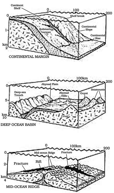 Ocean Relief Map 的图像结果