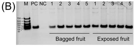 The Synergistic Effects of Environmental and Genetic Factors on the ...