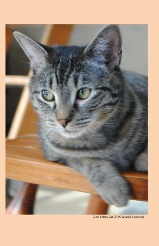 Cute Tabby Cat 2015 Weekly Calendar: 2015 weekly engagement calendar ...