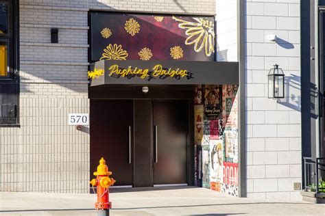 Pushing Daisies | Nashville Guru