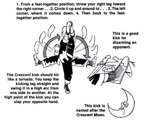 Image result for Kung Fu Tutorial