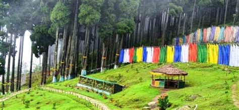 DARJEELING SABH TRAVELS