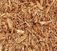 wood pulp 的图像结果