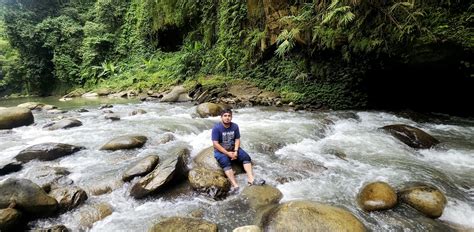 Earth Life 的图像结果