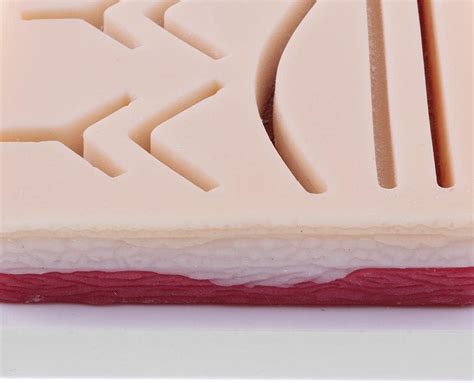 Buy Fancyes Practice Kits Human Wound Skin Suturing Repeated Train Tool ...