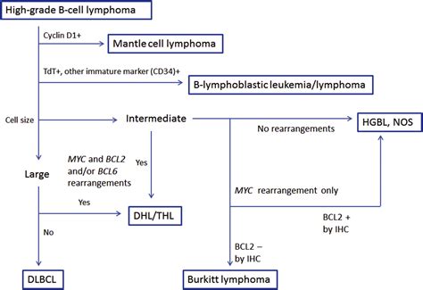 High-grade B-cell lymphoma: a term re-purposed in the revised WHO classification - Pathology