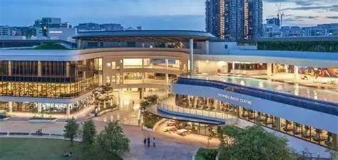 申请指南 新加坡本科留学申请条件及申请方案 | 狮城新闻 | 新加坡新闻
