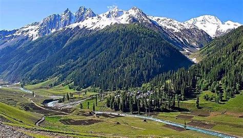 Valley of Flowers in Kashmir Trek Explore the Enchantment Of Nature
