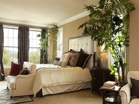 卧室适宜摆放的植物有哪些？卧室植物摆放风水禁忌-家装网