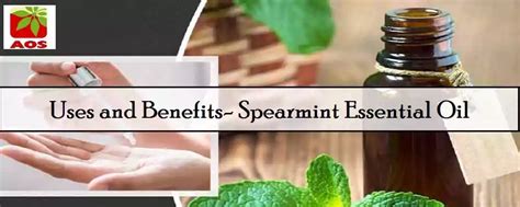 What is Spearmint Oil - Health Benefits and Side Effects