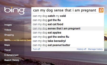 Bing Search Suggestions 的图像结果