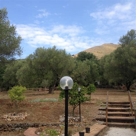 AZIENDA AGRITURISTICA ANGELA (Marina di Camerota) - Ranch Reviews ...