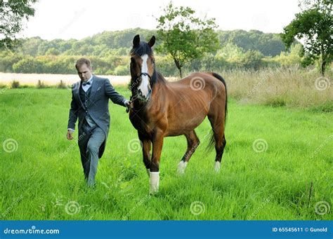 Man and horse stock image. Image of grand, love, lifestyle - 65545611