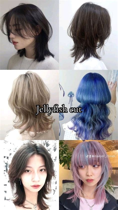 Jellyfish Cut | Short hair styles easy, Pretty hair color, Hairstyle names