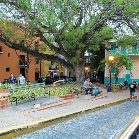 CASA MELAZA RUM BOUTIQUE - All You Need to Know BEFORE You Go 2026 ...