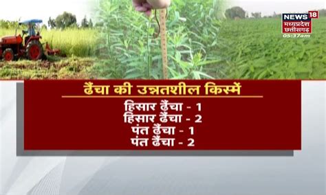 Annadata | Green Manures का फसलों में महत्व और प्रयोग, हरी खादों से ...