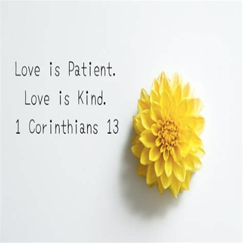 What Does Love Is Patient, Love Is Kind Really Mean? (A, 56% OFF