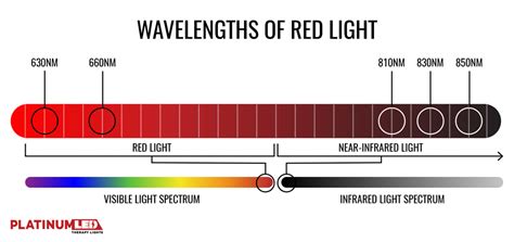 Kuvatulokset haulle blue vs red light spectrum