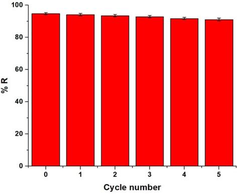 Functionalization of Strontium Ferrite Nanoparticles with Novel ...