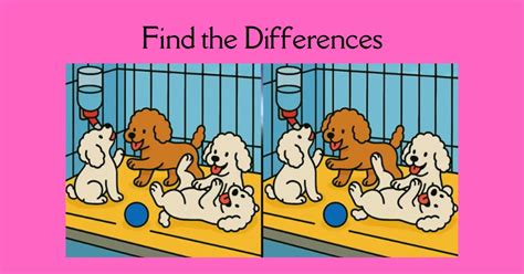 Spot 3 Differences in Dogs Playing in their Cage - Can You Find Them in ...