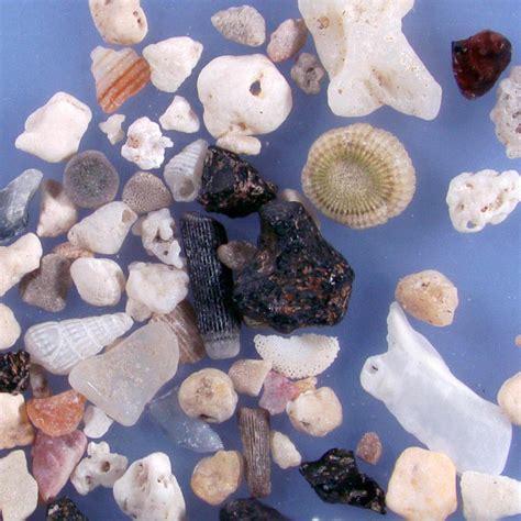 Hawaiian Beach Sand Under a Microscope - Magnified Sand