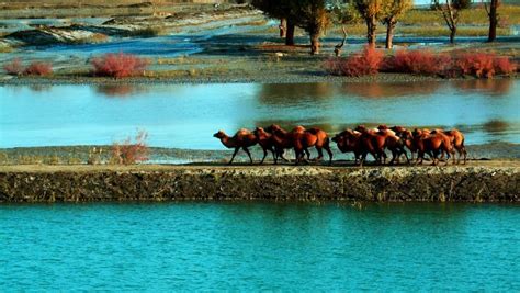 新疆（巴音郭楞蒙古自治州）和静县 民俗风情畅游之旅