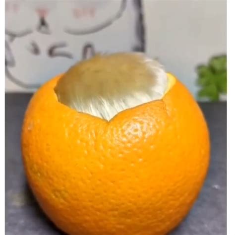 Alien Hatches 的图像结果