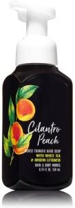 BATH & BODY WORKS Gentle Foaming Hand Soap, Cilantro Peach - 259ml (8 ...
