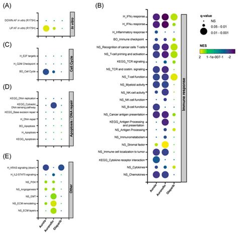 Auranofin Synergizes with the PARP Inhibitor Olaparib to Induce ROS ...