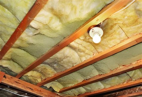 Crawl Space Mold Remediation Atlanta | Crawl Space Mold Removal
