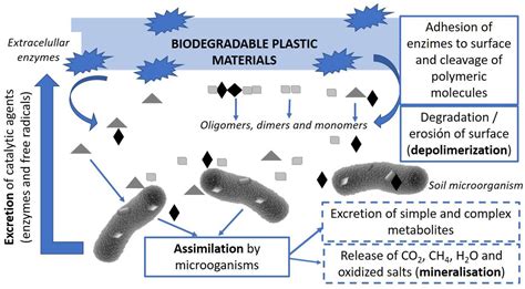 Biodegradable Antimicrobial Films for Food Packaging: Effect of ...
