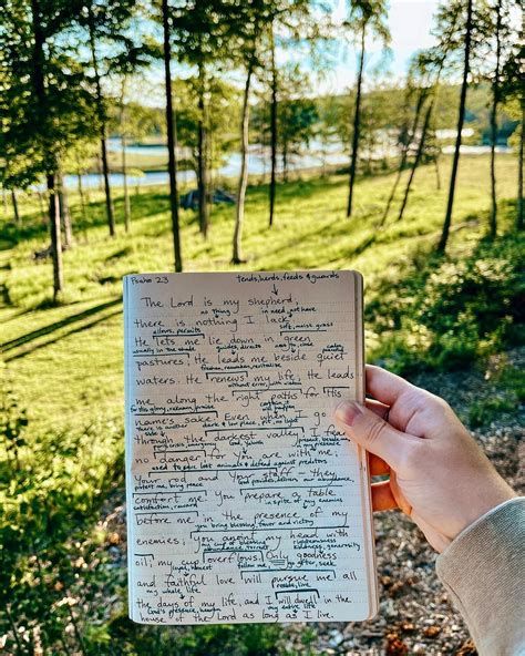 Why the Command ‘Fear Not’ Appears in the Bible 365 Times | by Olivia ...