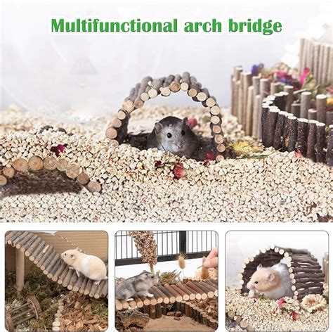 Elipark wiwens Small Animal Activity Toy Hamster Houses India | Ubuy