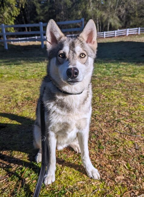 Balerion – Motley Zoo Animal Rescue