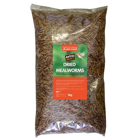Buy Extra Select Dried Mealworms for Wild Birds: Protein Rich Wild Bird ...