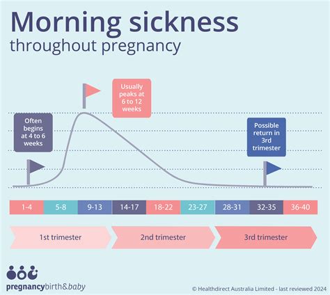 Cycle Of Morning Sickness Early Symptoms Of Pregnancy